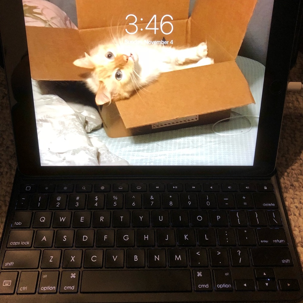 iPad Pro - Picture 8 of 8